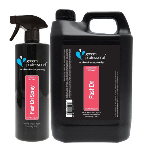 Groom Professional Fast Dri Classic 4 Litre - sprejs ātrākai žāvēšanai 4l